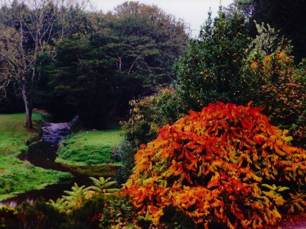 A picture of Blarney Castle gardens in autumn