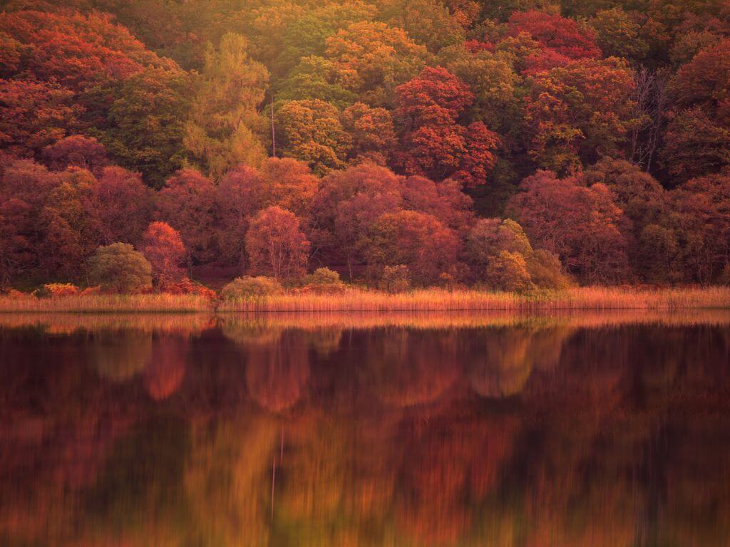 A picture overlooking Glendalough lake during autumn