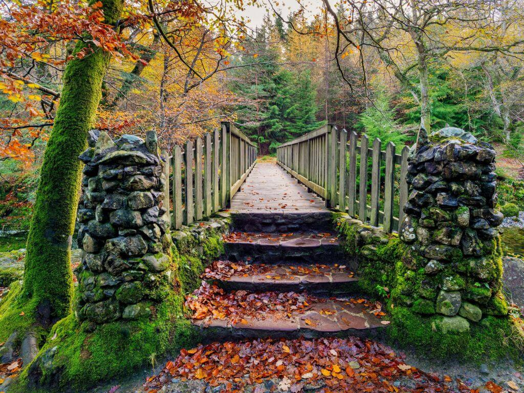 A picture of fallen leaves on a bridge in Tollymore Forest Park during autumn
