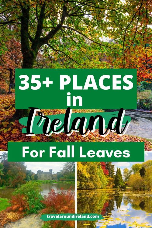 A grid of three autumnal pictures taken in Ireland and text overlay saying 35+ places in Ireland for fall leaves