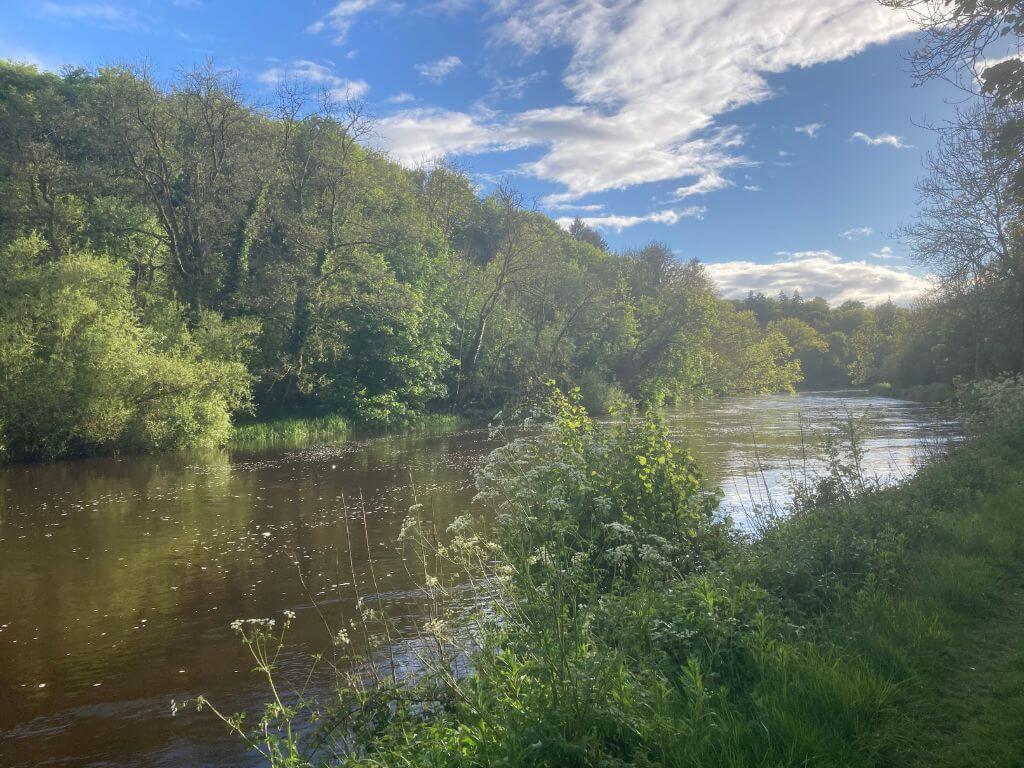 A picture of the River Barrow banked by woodlands in County Carlow