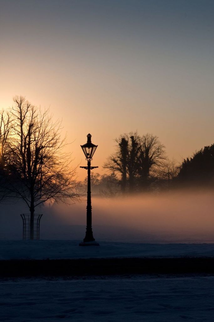 A picture of a misty winter evening in the Phoenix Park, Dublin