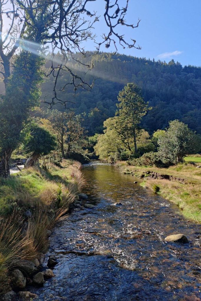 A picture of a small river flowing through part of the Glendalough Valley in Ireland with sun shining through trees on the left hand side