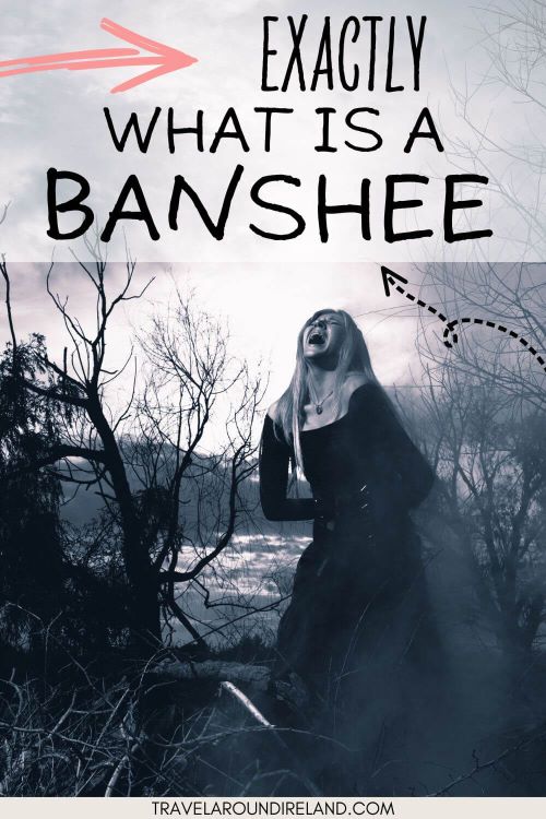 A picture of a lady with long white hair and in a long black dress screaming among trees and text overlay saying exactly what is a banshee