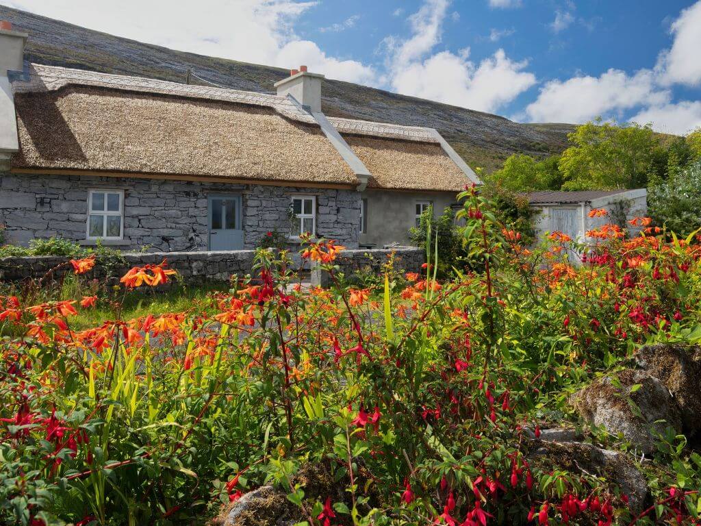 A picture of a cottage in the Burren with beautiful wildflowers in the garden in front of the house
