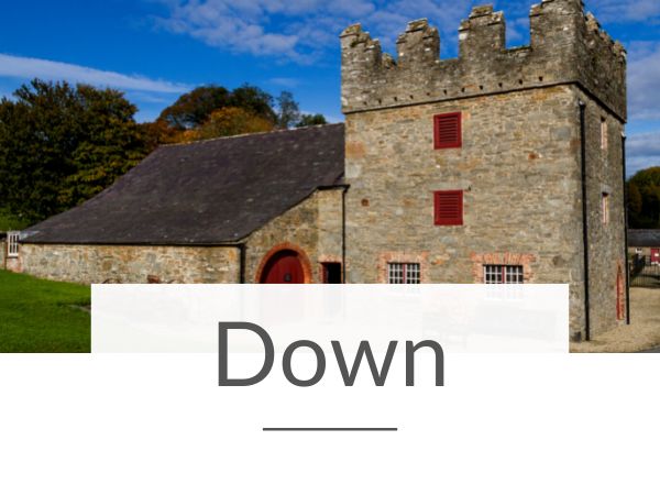 A picture of the exterior of Castle Ward on a sunny day in County Down and text overlay underneath saying Down