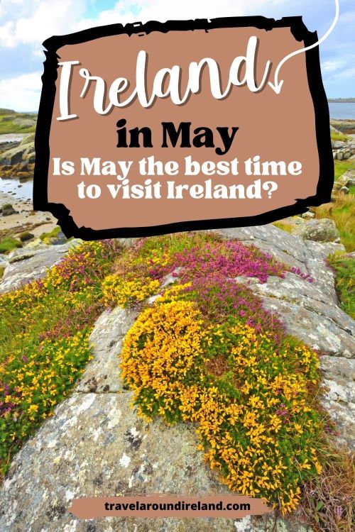 A picture of wildflowers on a rocky landscape in Ireland and text overlay saying Ireland in May - Is May the best time to visit Ireland?