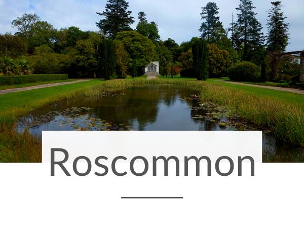 A picture of part of Strokestown Park in County Roscommon and text overlay underneath saying Roscommon