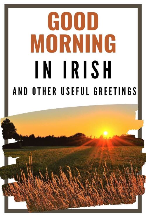 A picture of a sunrise over a field and text overlay saying good morning in Irish and other useful greetings