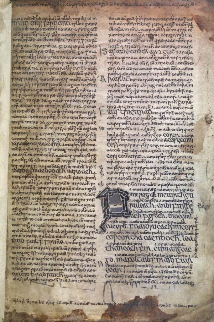 A picture of a page of Brehon Law from an old manuscript from the Royal Irish Academy.