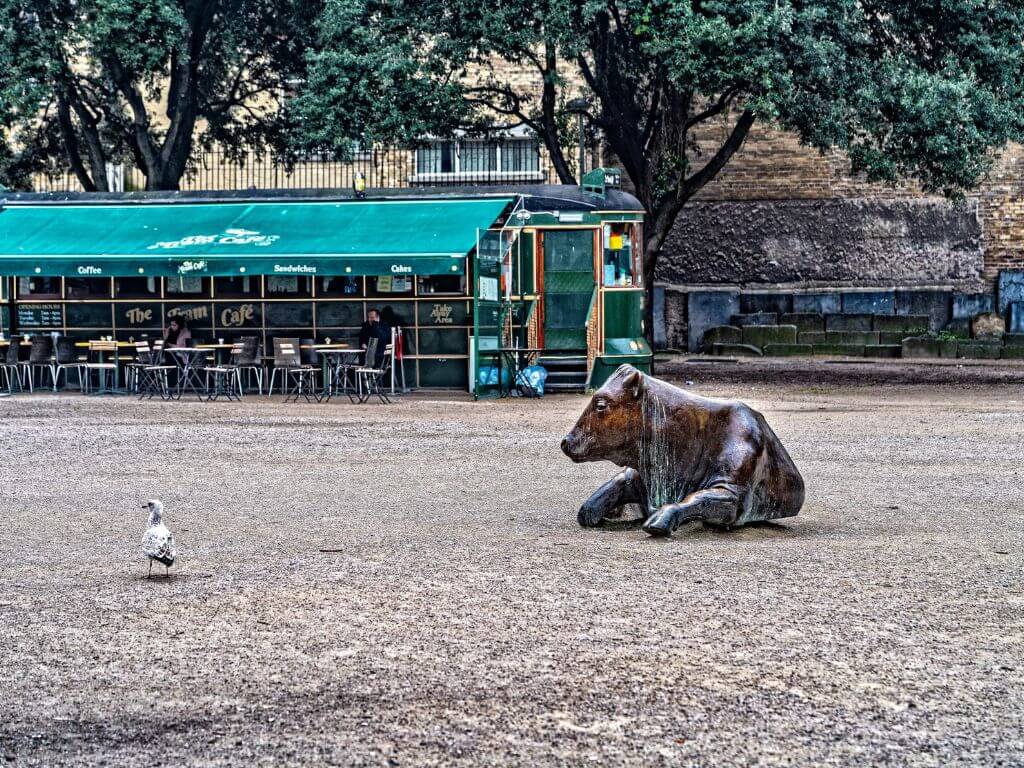 A picture of a bronze cow in Wolfe Tone Park in Dublin with a seagull standing near it.