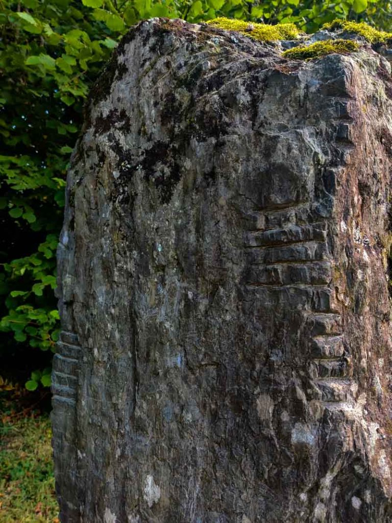 A close-up picture of an Ogham stone in the Irish National Heritage Park in which you can see some Ogham markings along both edges.