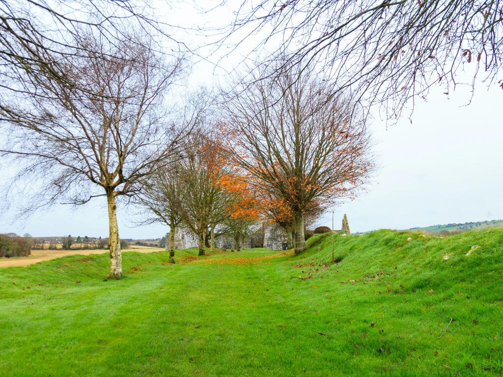 A picture looking towards Kilcrea Castle in County Cork through a row of tress that have orange leaves, many of which have fallen to the ground.